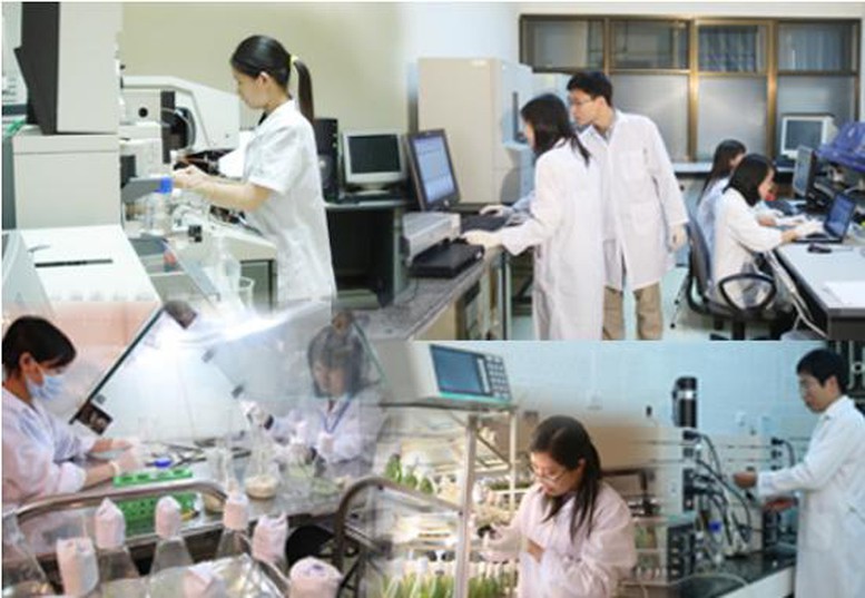 Đề xuất quy định về giám định tư pháp lĩnh vực khoa học và công nghệ