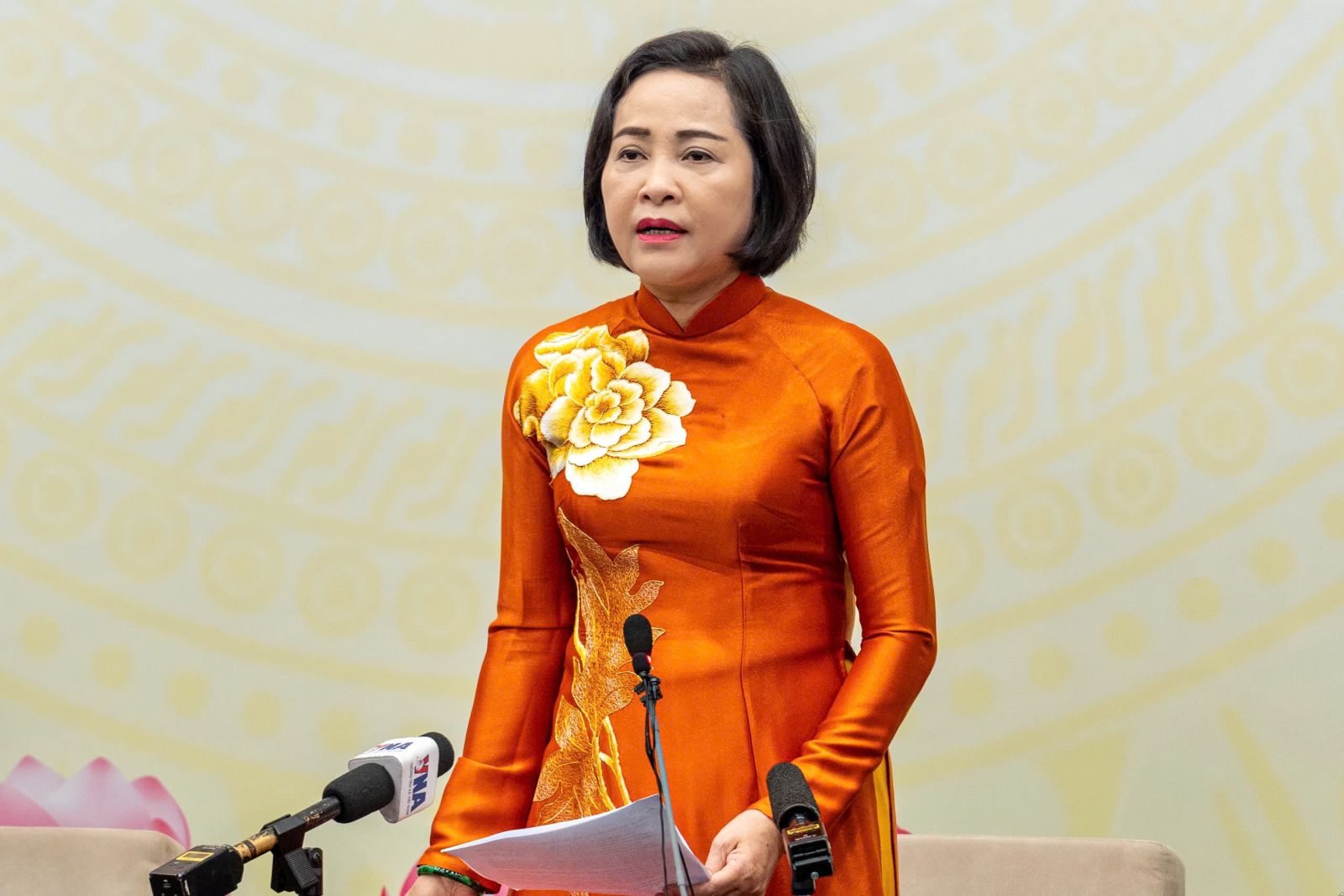 Phó Chủ tịch Quốc hội nói về ‘các bước tiếp theo’ sau ngày bầu cử