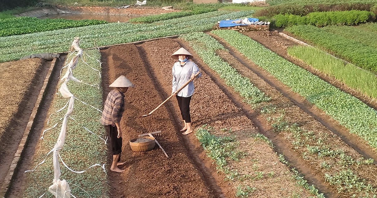 dat-nong-nghiep-1788423309.jpg