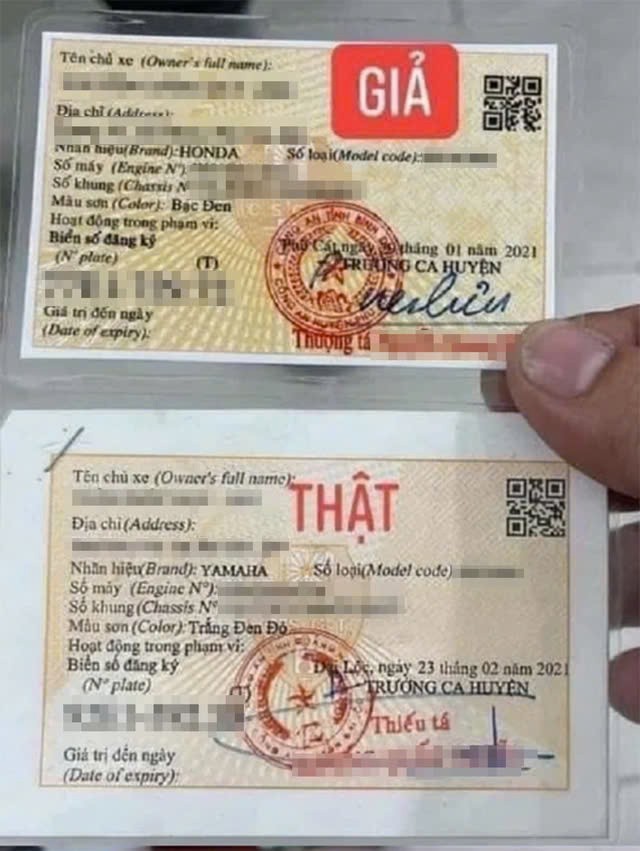 nv01-1789647258.jpg