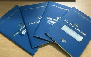 bac-si-1791876729516985135815-0-0-371-594-crop-17918767313581634505953-1792576609.jpg