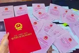 Đã có nhà trên đất trồng cây lâu năm, có được cấp sổ đỏ?