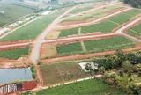 Chuyển đất trồng cây lâu năm sang đất ở: Nghĩa vụ tài chính và thủ tục ra sao?