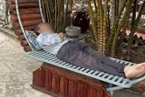 “Mang mẹ đi bỏ” trên phim và nỗi đau “mang cha bỏ chùa” ngoài đời