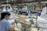 Người lao động nghỉ thai sản, doanh nghiệp cần báo giảm khi nào?