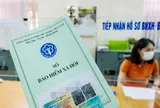 Người Việt ở nước ngoài có được tham gia BHXH tự nguyện tại Việt Nam?