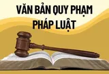 Xử lý triệt để tình trạng chậm ban hành văn bản quy định chi tiết luật, pháp lệnh, nghị quyết
