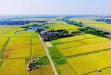 Cách xác định nhân khẩu được hỗ trợ khi thu hồi đất nông nghiệp