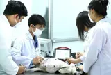 Khi nào viên chức thú y chuyển về cấp xã được hưởng phụ cấp ưu đãi nghề?