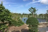 Đất sử dụng sai mục đích, có được bồi thường tài sản khi thu hồi?