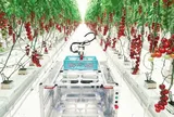 Điều kiện thành lập khu nông nghiệp ứng dụng công nghệ cao
