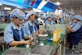 Lừa gạt người lao động có thể bị phạt tới 75 triệu đồng
