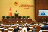 Quốc hội thông qua Luật sửa đổi 10 luật về nông nghiệp và môi trường