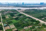 Khi các quy hoạch khác nhau, người dân căn cứ đâu để chuyển đất sang đất ở?