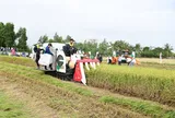 Đề xuất mới về nội dung chi, mức chi hoạt động khuyến nông