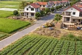 Quy hoạch nào được sử dụng làm căn cứ chuyển mục đích sử dụng đất?