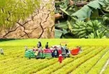 Chính sách mới có hiệu lực từ tháng 10/2026