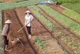 Ai được hỗ trợ chuyển đổi nghề khi Nhà nước thu hồi đất nông nghiệp?