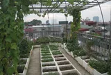 Những câu chuyện nhặt trên phố