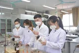 Đề xuất quy định về nhóm nghiên cứu tiềm năng, nhóm nghiên cứu mạnh trong cơ sở giáo dục đại học