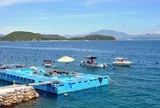 Nước thải từ cơ sở sản xuất, chế tác ngọc trai và nuôi trai xuất khẩu có được miễn phí bảo vệ môi trường?