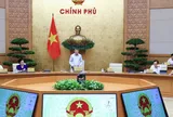 Chính phủ cho ý kiến đối với 11 dự án luật và 01 Nghị quyết