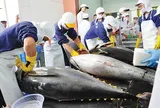 Bán phế liệu thủy sản cho doanh nghiệp khác làm thức ăn chăn nuôi, có phải chịu thuế GTGT?