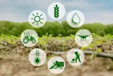 Cắt giảm, đơn giản hóa điều kiện kinh doanh của 11 lĩnh vực nông nghiệp và môi trường
