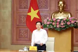 Mở đợt cao điểm mới về xử lý hành vi xâm phạm quyền sở hữu trí tuệ