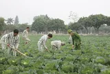 Người chấp hành án mãn hạn tù vẫn chưa khỏi bệnh sẽ được xử lý thế nào?