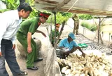 Các biện pháp bảo đảm tái hòa nhập cộng đồng đối với người chấp hành xong hình phạt tù