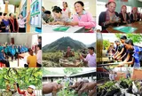 Tín dụng chính sách xã hội của Nhà nước: Đề xuất điều kiện cho vay vốn, lãi suất cho vay