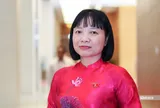 Cấm trưng bày thuốc lá phải đi cùng kiểm soát thị trường bất hợp pháp