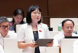 ĐBQH ủng hộ cấm kinh doanh khí N2O, đề nghị hướng dẫn cụ thể để tránh vướng mắc