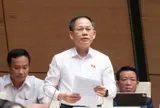 Lao động Việt phạm pháp ở nước ngoài, đại biểu đề nghị áp dụng biện pháp cấm xuất cảnh