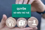 Tăng cường chế tài xử lý các hành vi xâm phạm quyền, vi phạm pháp luật về sở hữu trí tuệ