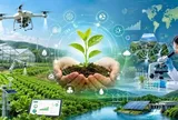 Tiêu chí phân loại, điều kiện thành lập, giải thể đơn vị sự nghiệp công lập lĩnh vực nông nghiệp và môi trường