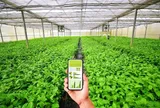 Dự kiến cơ chế sử dụng ngân sách nhà nước hỗ trợ hợp tác xã, liên hiệp hợp tác xã