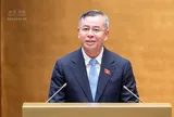 "Doanh nghiệp một người" không bắt buộc phải có Chủ tịch, Kế toán trưởng