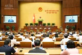 Luật Nuôi con nuôi (sửa đổi): Bổ sung cấm người có án tù treo nhận con nuôi