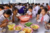 Đề xuất chính sách ăn trưa với học sinh tiểu học và trung học cơ sở vùng đồng bào dân tộc thiểu số và miền núi