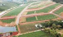 Chuyển đất trồng cây lâu năm sang đất ở: Nghĩa vụ tài chính và thủ tục ra sao?