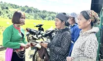 Nhiệm vụ, quyền hạn của Trưởng thôn, Tổ trưởng tổ dân phố