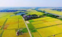 Cách xác định nhân khẩu được hỗ trợ khi thu hồi đất nông nghiệp