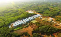 Mở trang trại chăn nuôi trên đất trồng cây, cần thủ tục gì?