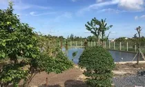 Đất sử dụng sai mục đích, có được bồi thường tài sản khi thu hồi?