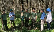 Quy định về nguyên tắc kết hợp an ninh với kinh tế - xã hội