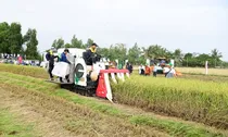 Đề xuất mới về nội dung chi, mức chi hoạt động khuyến nông