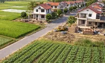Quy hoạch nào được sử dụng làm căn cứ chuyển mục đích sử dụng đất?