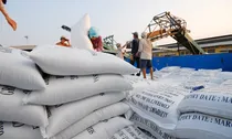 Điều kiện kinh doanh xuất khẩu gạo